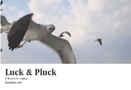 Luck & Pluck