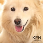 KEN