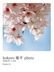 kokoro 癒す photo　