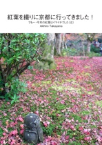 紅葉を撮りに京都に行ってきました！