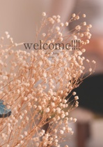 welcome!!!!