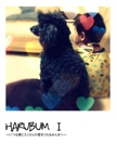 HARUBUM Ⅰ