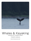 Whales & Kayaking 