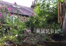 英国花日記　