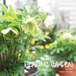 healing garden