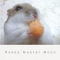 Rakko Master Moon