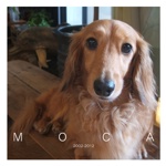 MOCA