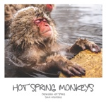 Hot spring Monkeys