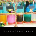  Singapore Trip