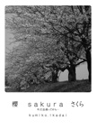 櫻　 ｓａｋｕｒａ   さくら   