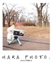 hara photo.