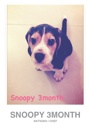 SNOOPY 3MONTH