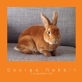 George Rabbit