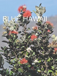 BLUE HAWAII