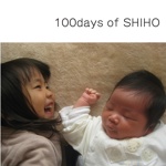 100days of SHIHO