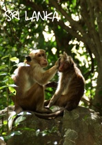 Sri Lanka