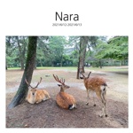 Nara