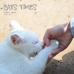 CATS TIMES