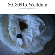 20130915 Wedding