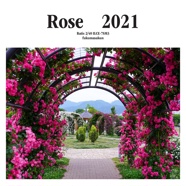 Rose　2021