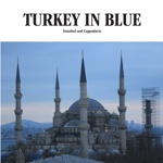 TURKEY IN BLUE