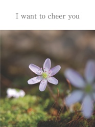 I want to cheer you 