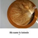 His name is Antonio
