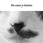 His name is Kotetsu