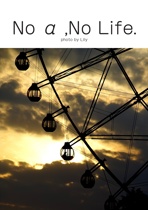 No α ,No Life.