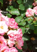 Dear LOVER