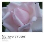 My lovely roses