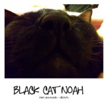 BLACK CAT NOAH　