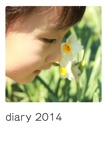 diary 2014