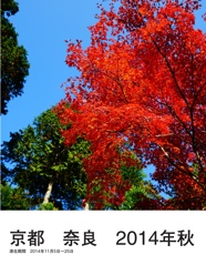 京都　奈良　2014年秋