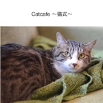 Catcafe ～猫式～ 
