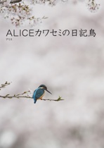 ALICEカワセミの日記鳥