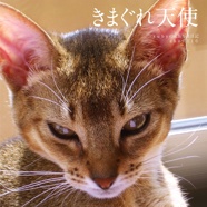 きまぐれ天使
