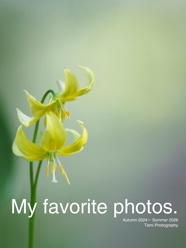 My favorite photos.