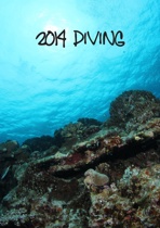 2014 diving