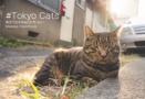 #Tokyo Cats