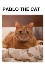 PABLO THE CAT