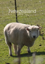 Newzealand 