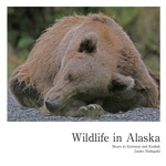 Wildlife in Alaska