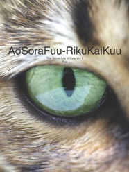 AoSoraFuu-RikuKaiKuu