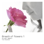 Breath of flowers 1