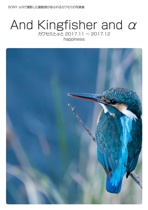 And Kingfisher and α