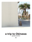 a trip to Okinawa