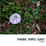 HAMA_HIRU_GAO