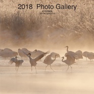 2018  Photo Gallery