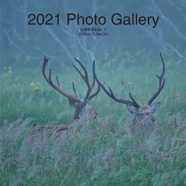 2021 Photo Gallery